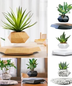 Levitating Air Bonsai Pot Rotation Flower